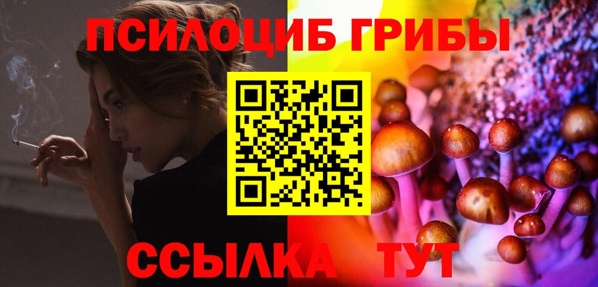 Псилоцибиновые грибы Psilocybine cubensis Белогорск